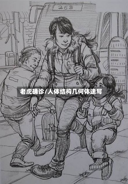老虎确诊/人体结构几何体速写-第2张图片