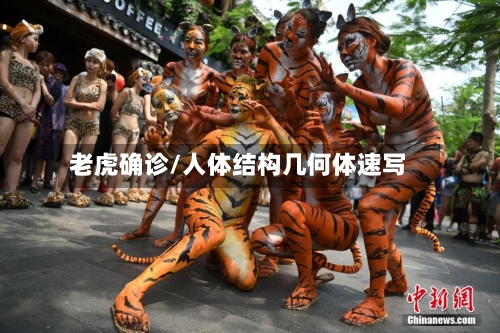 老虎确诊/人体结构几何体速写