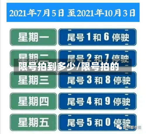 限号拍到多少/限号拍的-第2张图片