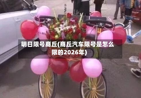 明日限号商丘(商丘汽车限号是怎么限的2026年)-第1张图片
