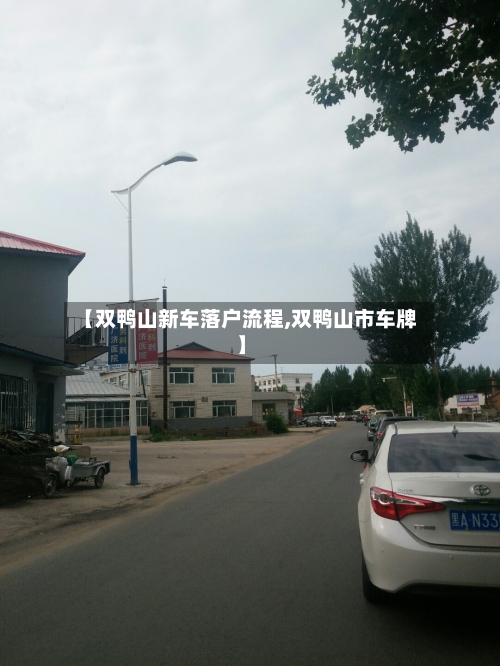 【双鸭山新车落户流程,双鸭山市车牌】-第2张图片