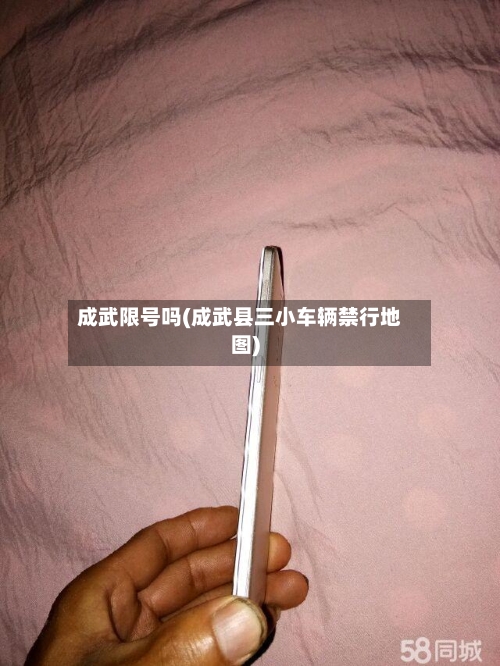 成武限号吗(成武县三小车辆禁行地图)