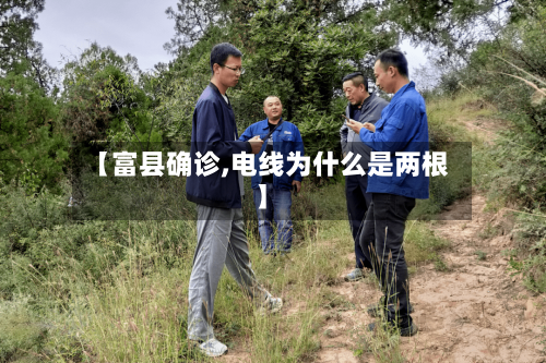 【富县确诊,电线为什么是两根】-第3张图片