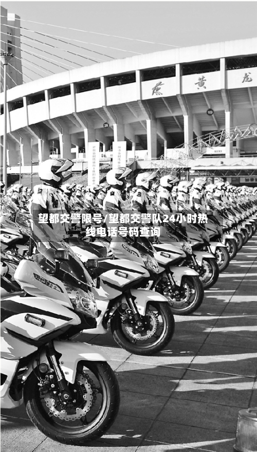 望都交警限号/望都交警队24小时热线电话号码查询-第2张图片