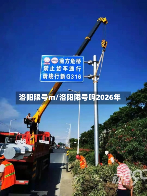 洛阳限号m/洛阳限号吗2026年-第2张图片