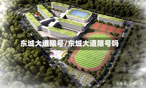 东城大道限号/东城大道限号吗-第2张图片