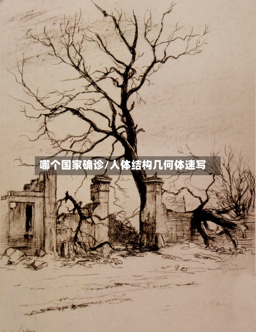 哪个国家确诊/人体结构几何体速写-第2张图片