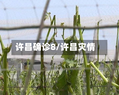 许昌确诊8/许昌灾情
