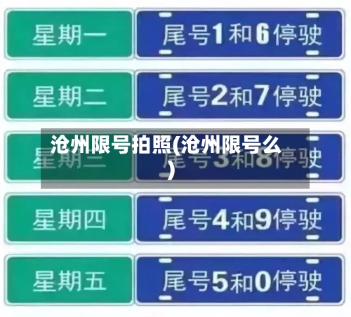 沧州限号拍照(沧州限号么)