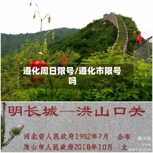 遵化周日限号/遵化市限号吗-第1张图片