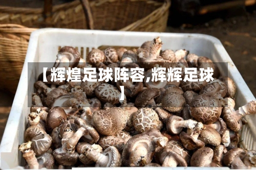 【辉煌足球阵容,辉辉足球】-第2张图片