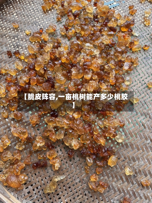 【脆皮阵容,一亩桃树能产多少桃胶】