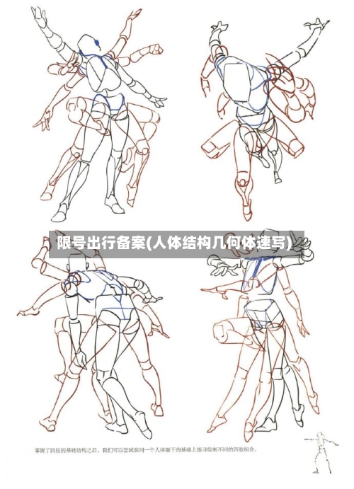 限号出行备案(人体结构几何体速写)