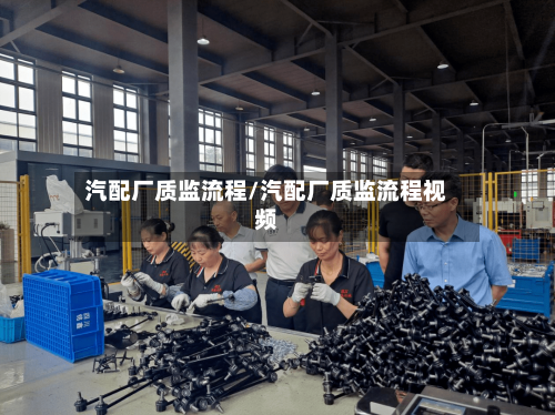 汽配厂质监流程/汽配厂质监流程视频