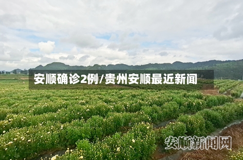 安顺确诊2例/贵州安顺最近新闻-第2张图片