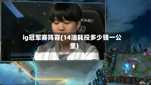 ig冠军赛阵容(14油耗投多少钱一公里)