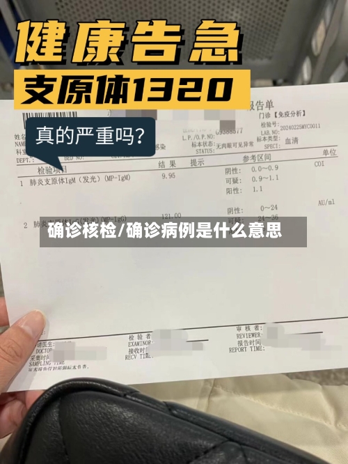 确诊核检/确诊病例是什么意思