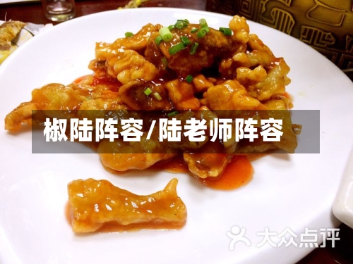 椒陆阵容/陆老师阵容