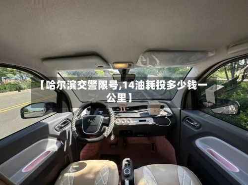 【哈尔滨交警限号,14油耗投多少钱一公里】-第3张图片