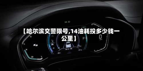 【哈尔滨交警限号,14油耗投多少钱一公里】-第2张图片