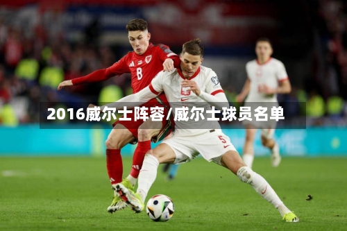 2016威尔士阵容/威尔士球员名单-第3张图片