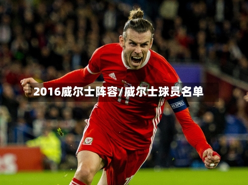 2016威尔士阵容/威尔士球员名单