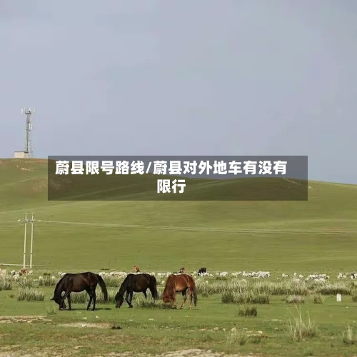 蔚县限号路线/蔚县对外地车有没有限行