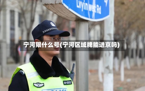 宁河限什么号(宁河区域牌能进京吗)