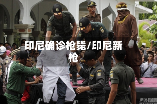 印尼确诊枪毙/印尼新枪