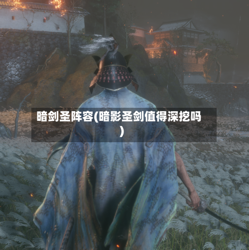 暗剑圣阵容(暗影圣剑值得深挖吗)