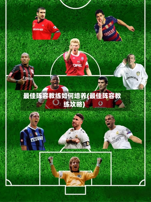最佳阵容教练如何培养(最佳阵容教练攻略)