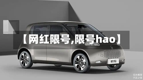 【网红限号,限号hao】-第2张图片