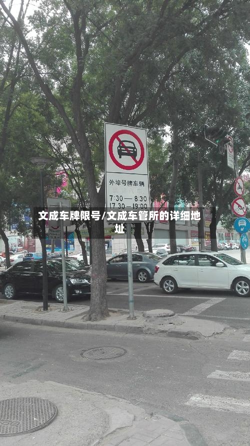 文成车牌限号/文成车管所的详细地址