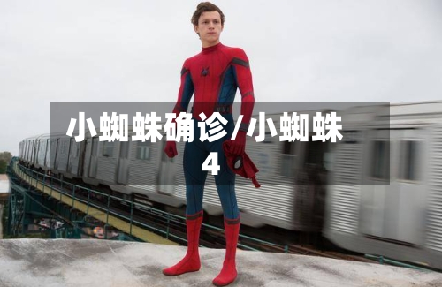 小蜘蛛确诊/小蜘蛛4-第2张图片