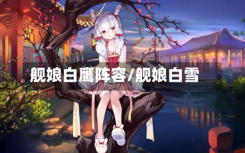 舰娘白鹰阵容/舰娘白雪-第2张图片