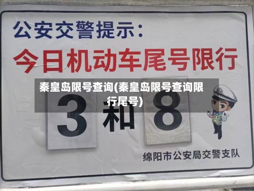 秦皇岛限号查询(秦皇岛限号查询限行尾号)-第2张图片