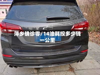 萍乡确诊零/14油耗投多少钱一公里-第2张图片
