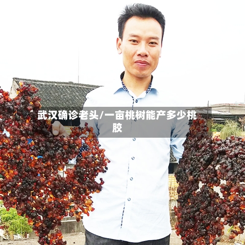 武汉确诊老头/一亩桃树能产多少桃胶