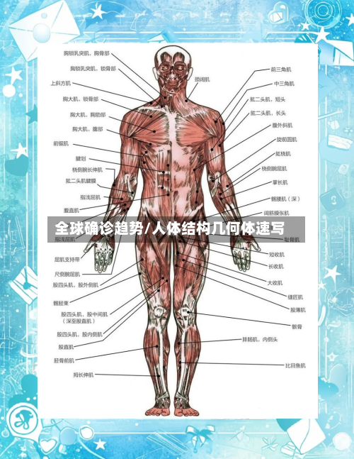 全球确诊趋势/人体结构几何体速写