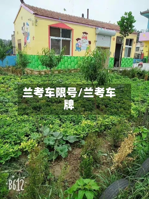 兰考车限号/兰考车牌-第2张图片