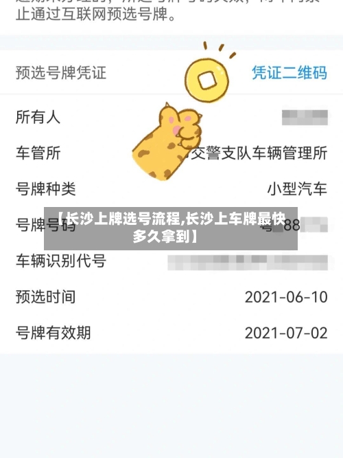 【长沙上牌选号流程,长沙上车牌最快多久拿到】-第2张图片