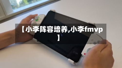 【小李阵容培养,小李fmvp】-第3张图片
