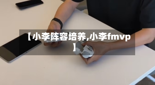 【小李阵容培养,小李fmvp】