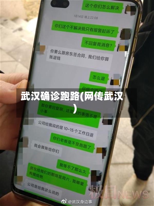 武汉确诊跑路(网传武汉)