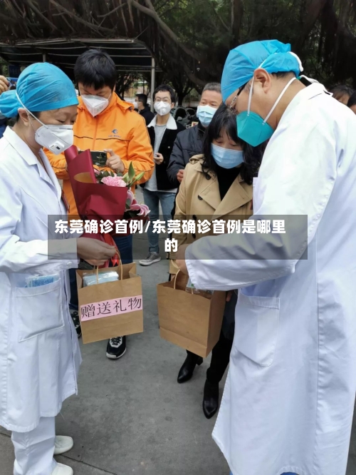 东莞确诊首例/东莞确诊首例是哪里的-第2张图片