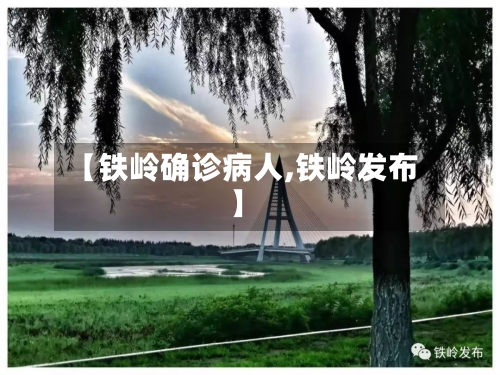 【铁岭确诊病人,铁岭发布】