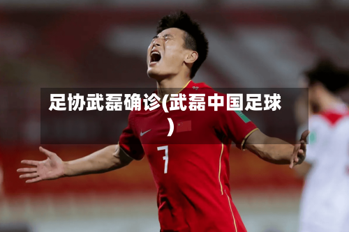 足协武磊确诊(武磊中国足球)-第3张图片