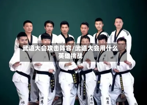 武道大会攻击阵容/武道大会用什么英雄挑战-第2张图片