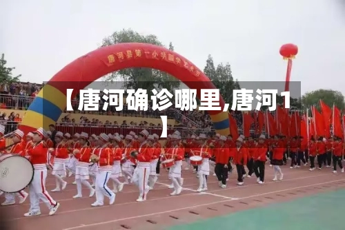 【唐河确诊哪里,唐河1】