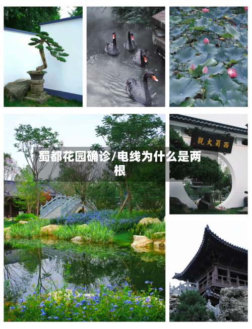 蜀都花园确诊/电线为什么是两根-第2张图片